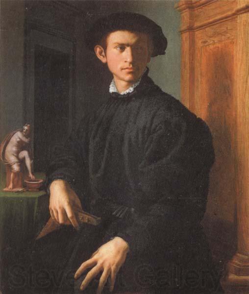 Agnolo Bronzino Portrait of a Young Man with a Lute Spain oil painting art